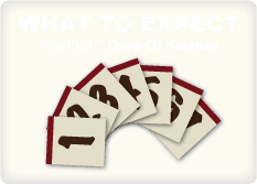WHAT TO EXPECT. The Full 7 Days Of Kleanse.